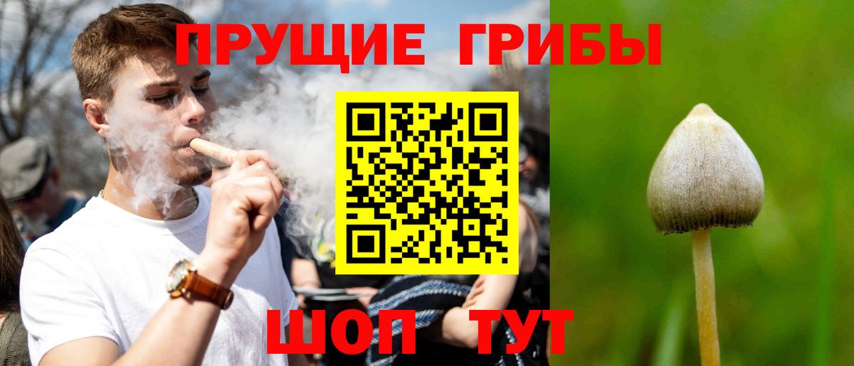Псилоцибиновые грибы мухоморы Ангарск